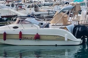 Mingolla Brava Corallo Wa Walkaround