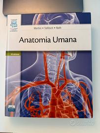 Anatomia umana martini