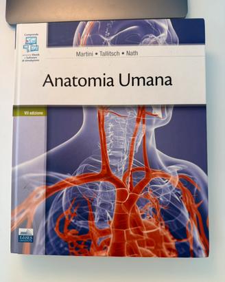 Anatomia umana martini