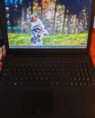 ASUS X553MA – 8 GB RAM – SSD 240 GB – Windows 11