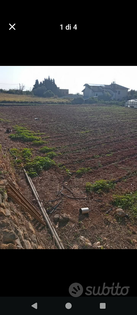 Terreno agricolo - Vista 4