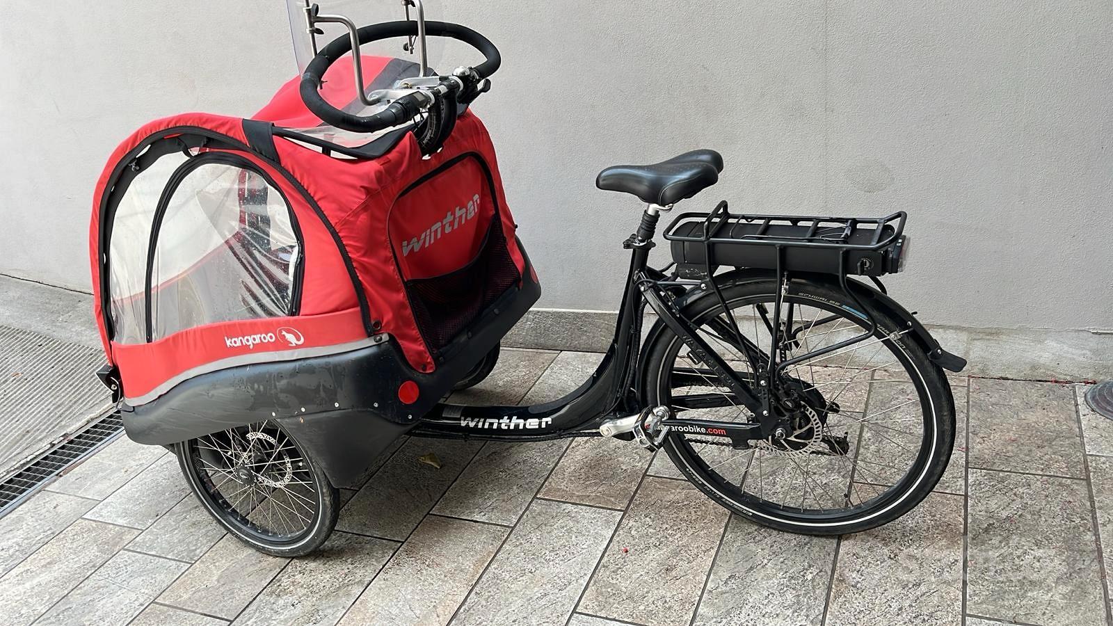 Cargo bike a tre ruote assistita Biciclette In vendita a Milano