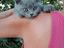 Immagine 1