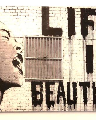 QUADRO  CANVAS  BANSKY
