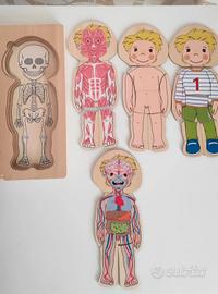 puzzle in legno Corpo umano