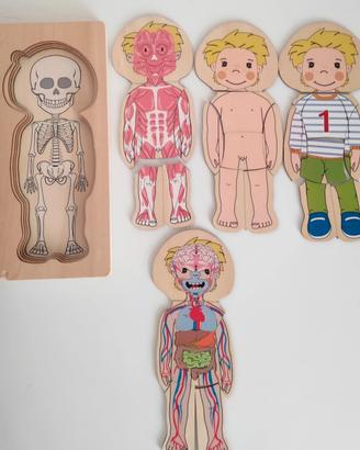 puzzle in legno Corpo umano