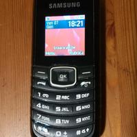telefono cellulare Samsung GT-E 1080W