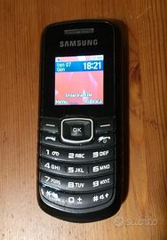 telefono cellulare Samsung GT-E 1080W