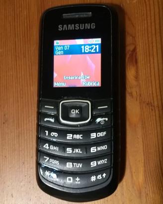telefono cellulare Samsung GT-E 1080W