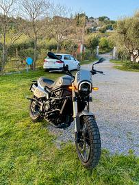Benelli leoncino 800 trail