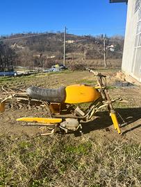 Moto Guzzi Dingo cross