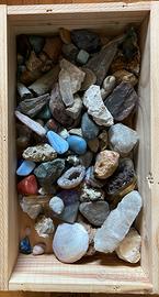 Rocce e fossili