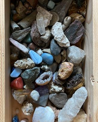 Rocce e fossili