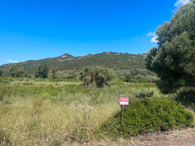 Terreno agricolo