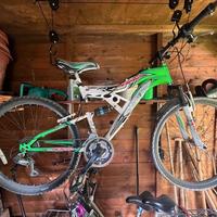 Bicicletta biammortizzata