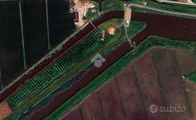 CASA INDIPENDENTE A PETTORAZZA GRIMANI