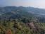 Immagine 9