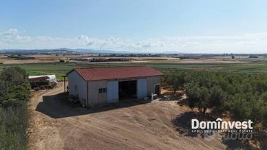 Rustico / Casale di 250 m² con 4 locali a Capalbio