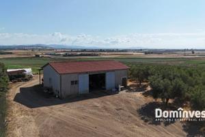 Rustico / Casale di 250 m² con 4 locali a Capalbio