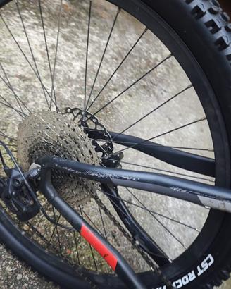 Bici elettrica