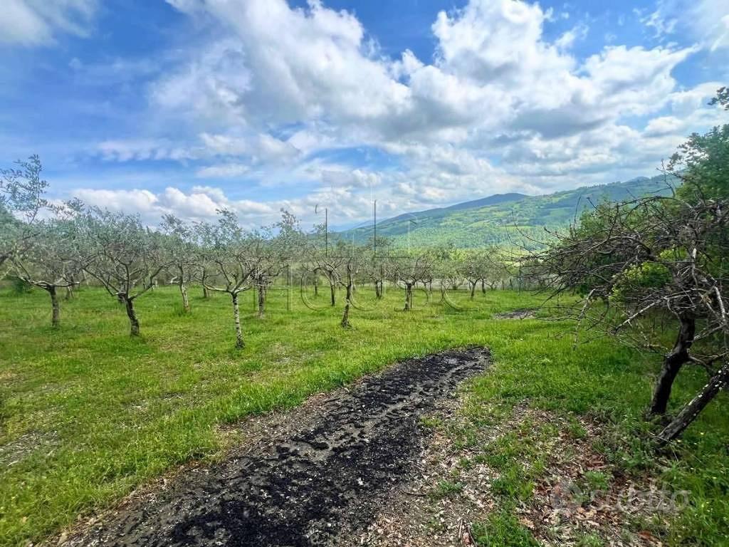 Terreno di 2000 m² a Pieve Santo Stefano - Altro