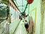 Immagine 15