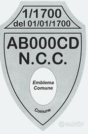 Autorizzazione ncc