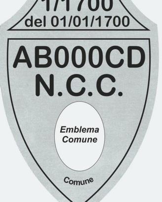 Autorizzazione ncc