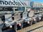 Immagine 17
