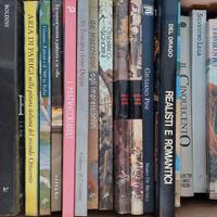 Libri d'Arte illustrati gran formato