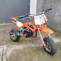 Minimotard