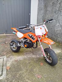Minimotard