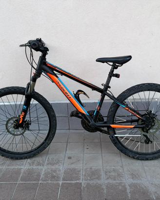 Mountain Bike Numbzz Storm- venduta