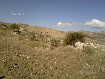 Terreno agricolo in C.da Garisi - Petralia Sottana