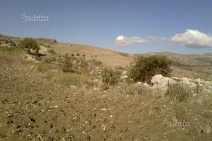 Terreno agricolo in C.da Garisi - Petralia Sottana