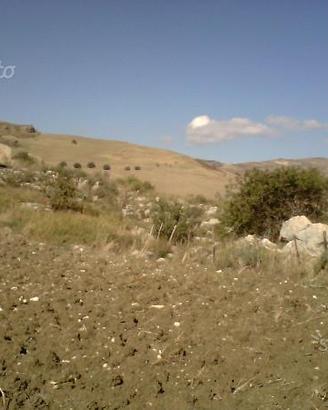 Terreno agricolo in C.da Garisi - Petralia Sottana
