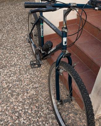 Bicicletta mountain bike 