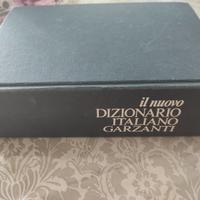 dizionario 