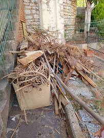 regalasi legna per fuoco