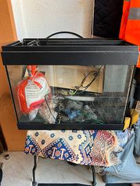 acquario + accessori