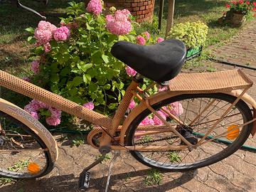 Bici telaio forsto