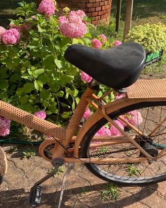 Bici telaio forsto