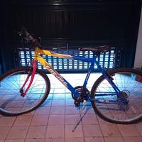 Bicicletta uomo 