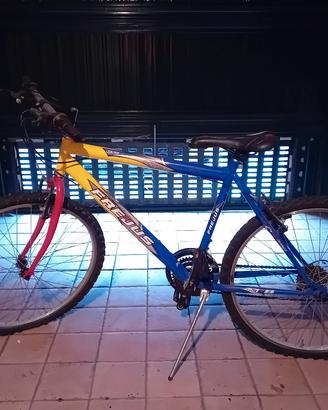Bicicletta uomo 