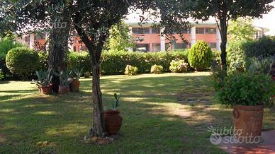 Appartamento indipendente giardino LIDO CAMAIORE