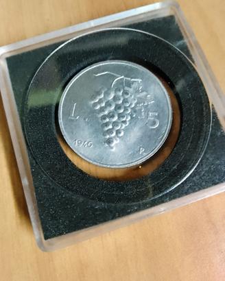 5 Lire Uva ( Copia)
