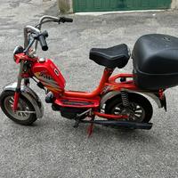Mini Califfo Rizzato 50 - anno 1998