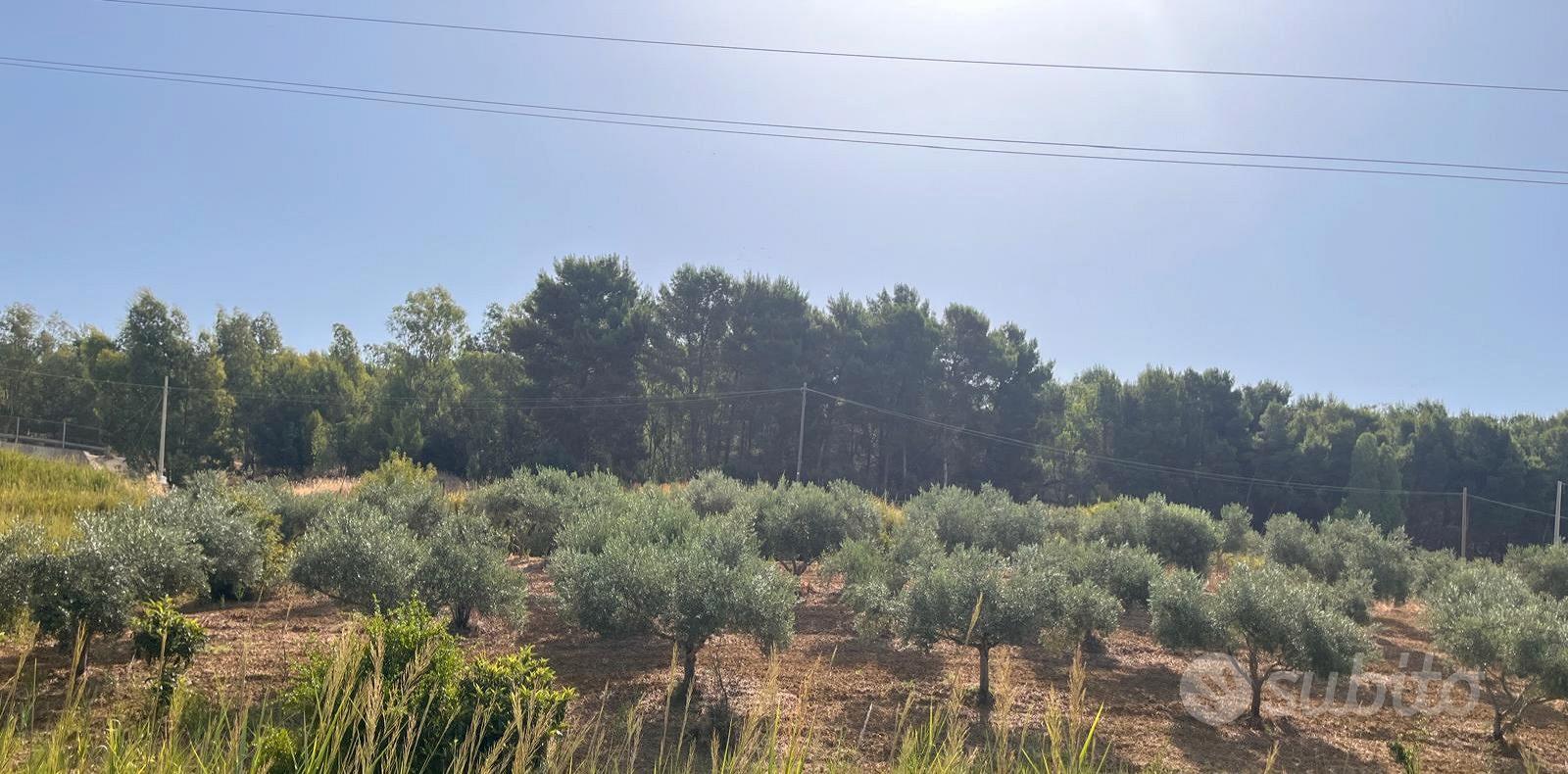 Terreno agricolo non edificabile - Vista 2