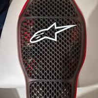 Paraschiena alpinestar