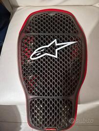 Paraschiena alpinestar